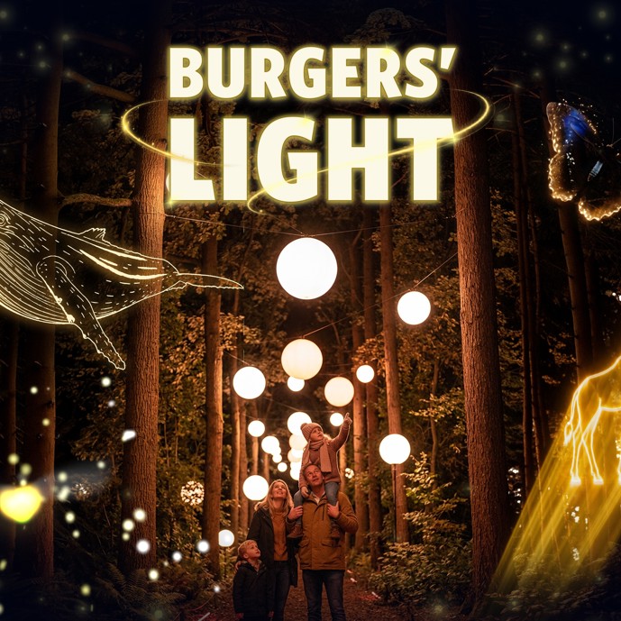 Avontuurlijk vuurvliegje ontsteekt spectaculaire lichtshow in Burgers' Zoo