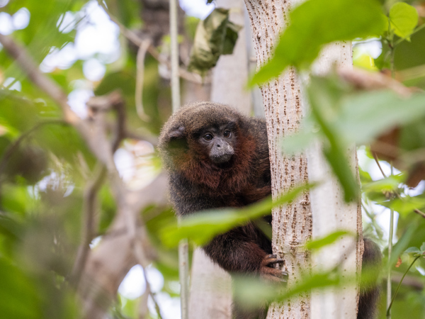 0a119d3d-f48d-4505-ba77-c30c42db6219