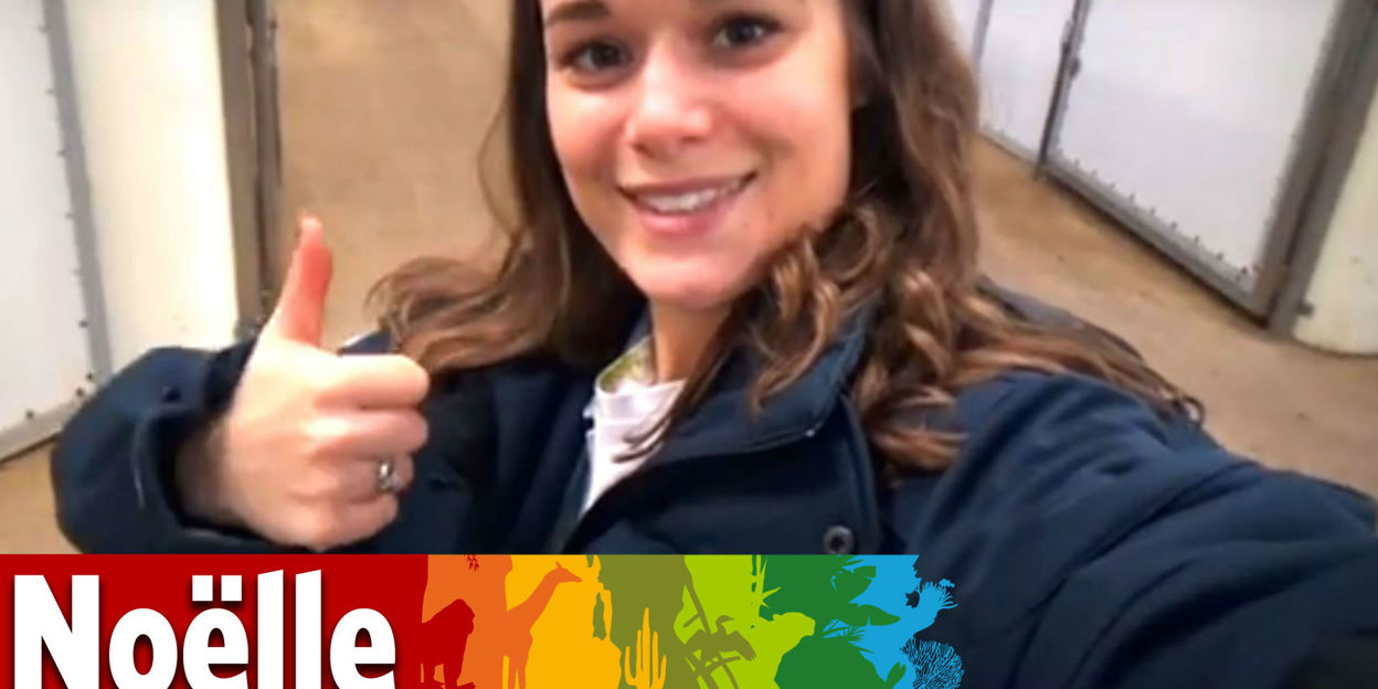 Een nieuwe Video Ranger: Noëlle van Deventer!