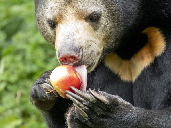 745a0b6a-bdf7-48be-9c19-05f508b66813