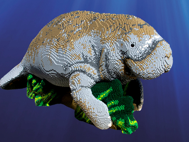 Online fotowedstrijd met drie gave prijzen