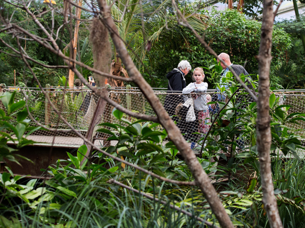 Op avontuur in het mangrovebos
