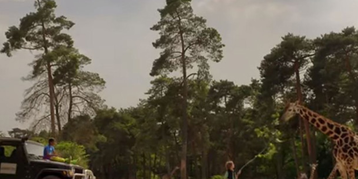 Burgers’ Zoo is tien weken lang Durvers’ Zoo!