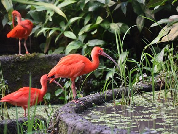 aca0ff6b-0cb3-4d3e-8536-230404220823