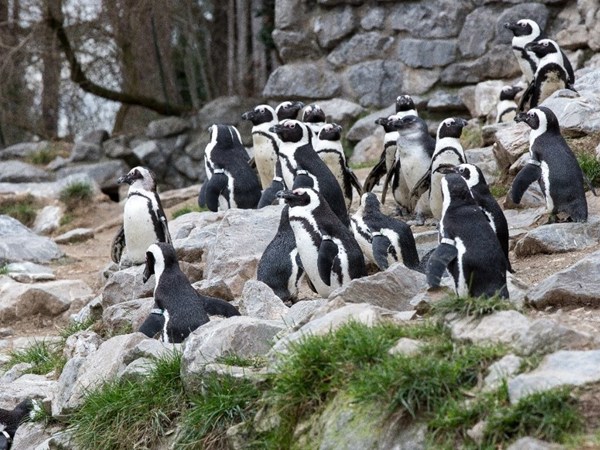 74ce12d9-5f8b-4fc6-8ad7-cb2462966c50