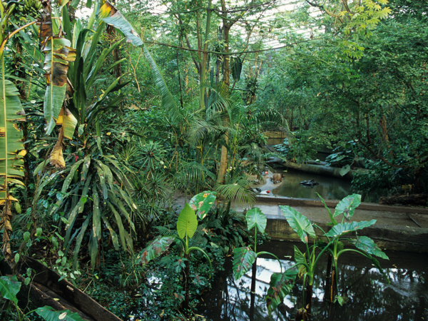 3c6b7274-9d38-482d-a79d-3ed03de91591