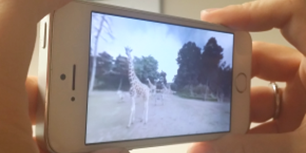 Met 360-graden video's net echt midden in Burgers' Zoo