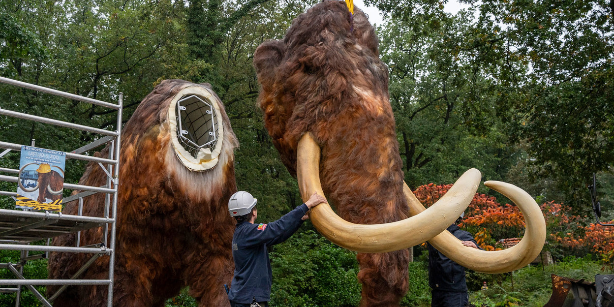 Hijskraan plaats kop reusachtige mammoet