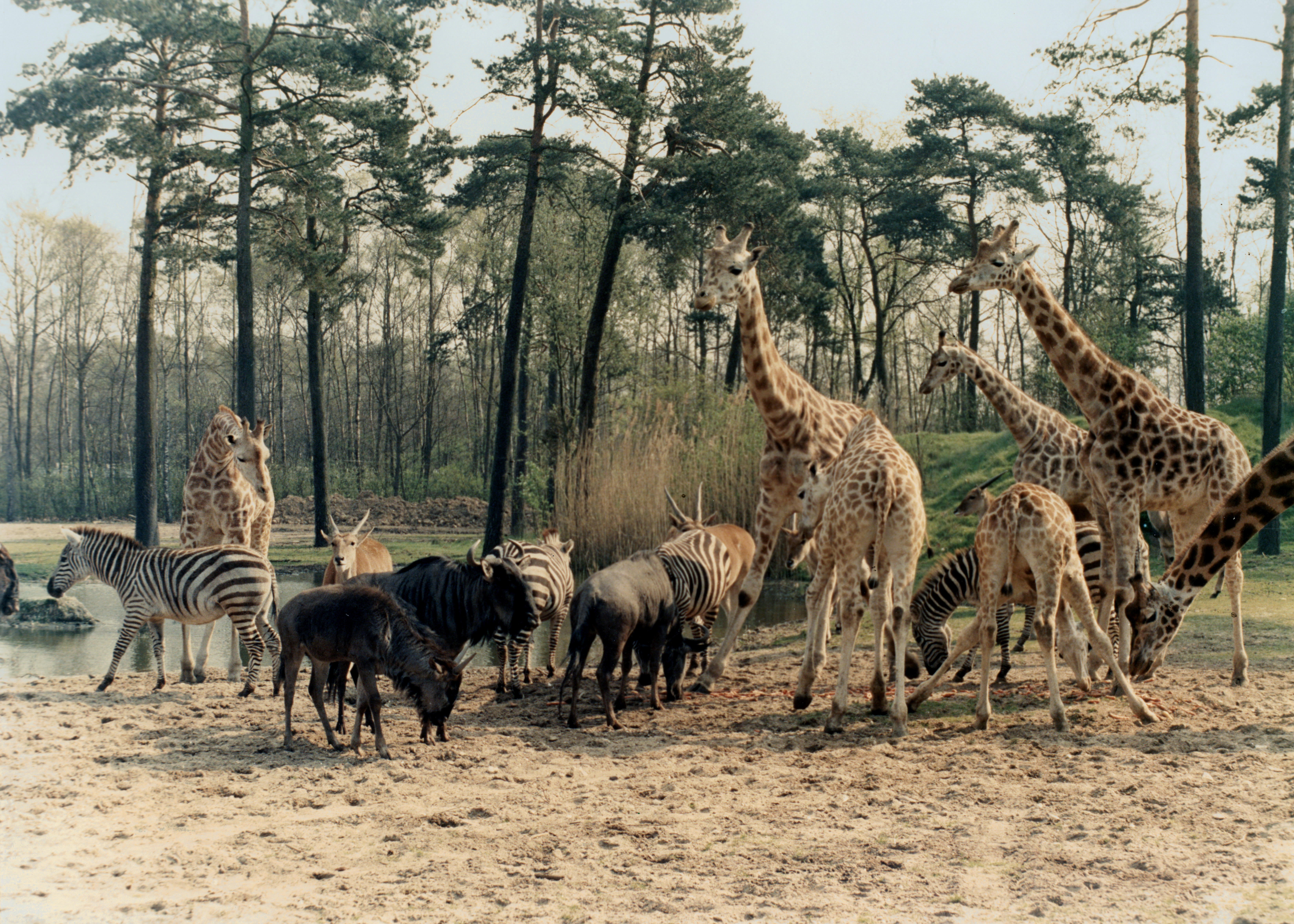 Welkom bij dierentuin Burgers' Zoo! | Burgers' Zoo in Arnhem