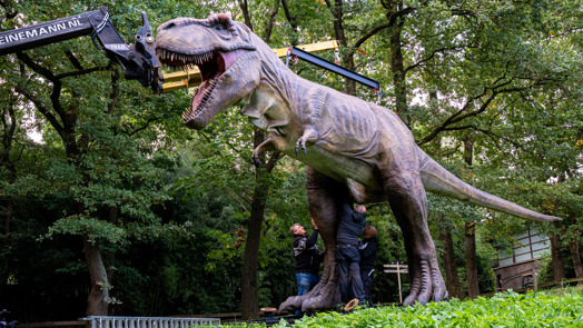 Burgers' Zoo hijst bovenlijf op vier meter hoge dino