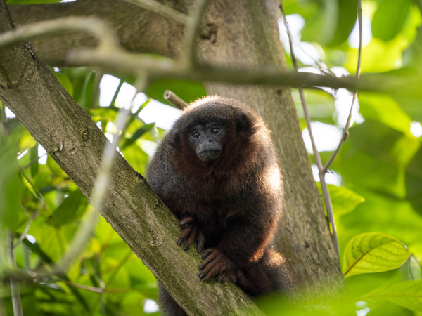 3343f410-98b5-49a6-9a5e-b0985cdc9937