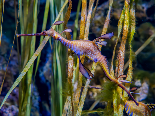 dd9d2436-9008-47d3-90f0-e870167ff2f7