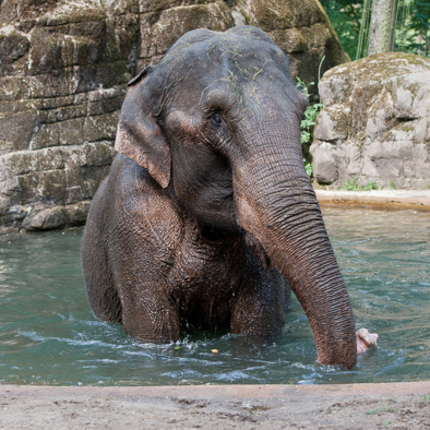 Bedreiging en bescherming