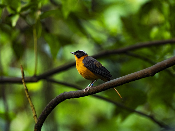 Een duurzaam ecosysteem