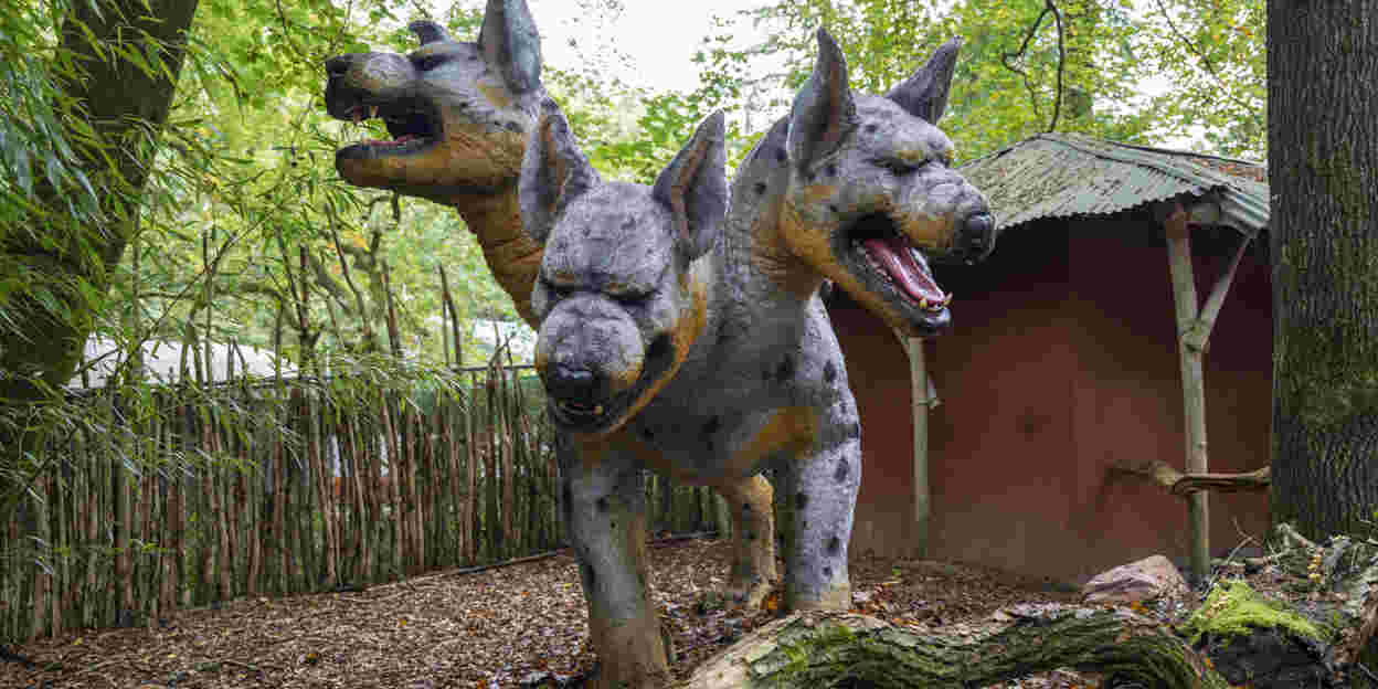 Cerberus