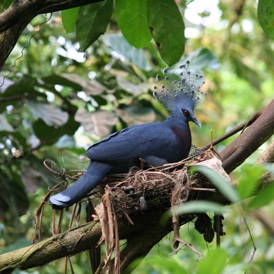 Bedreiging en bescherming