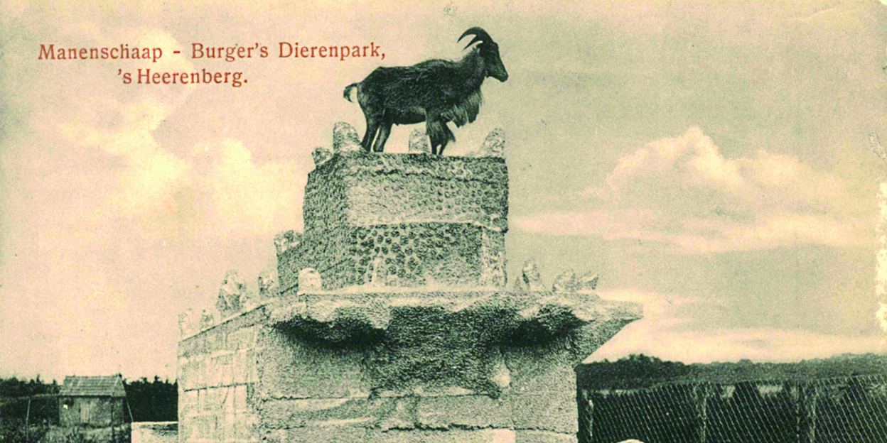 Een kleurrijk jubileumboek over 100 jaar Burgers’ Zoo!