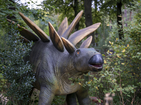 6a8c9922-784a-4be8-9754-1139766076da