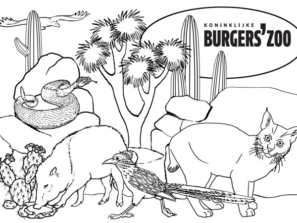 6741077b-e305-459e-898c-0b1a7d40e3f5