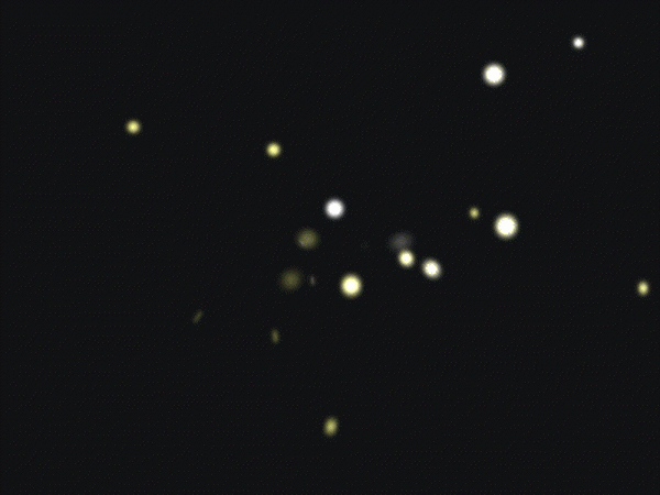 dbda8762-f3bc-4c72-b1e9-4d001f81fe2b