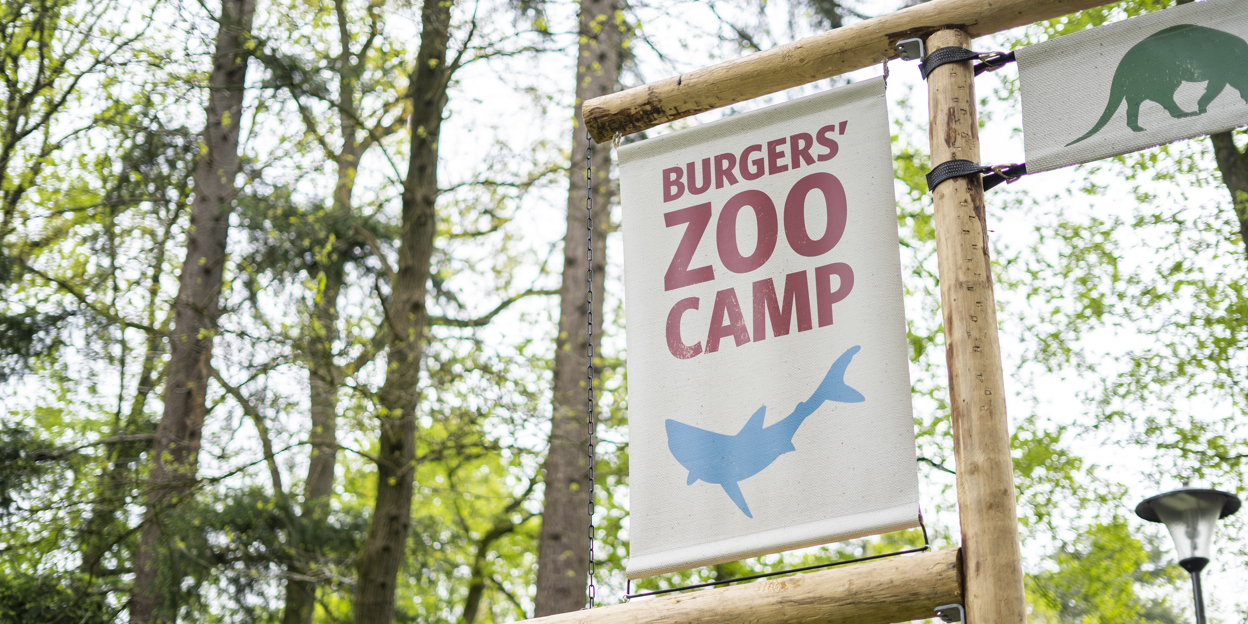 Burgers' Zoo Camp: u kunt nu reserveren!