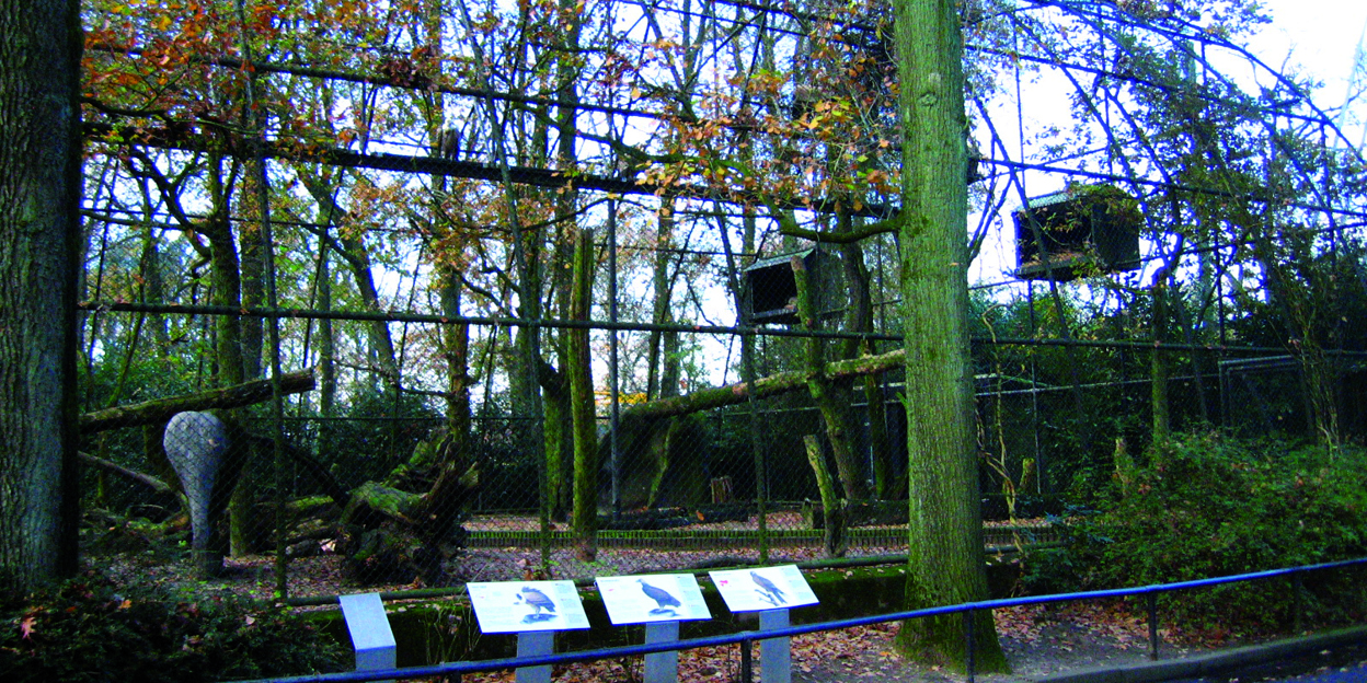 Gieren in ‘vrije vlucht’