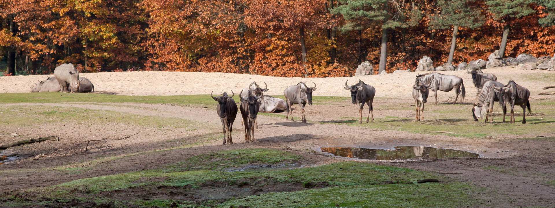 Arrangementen | Burgers' Zoo in Arnhem