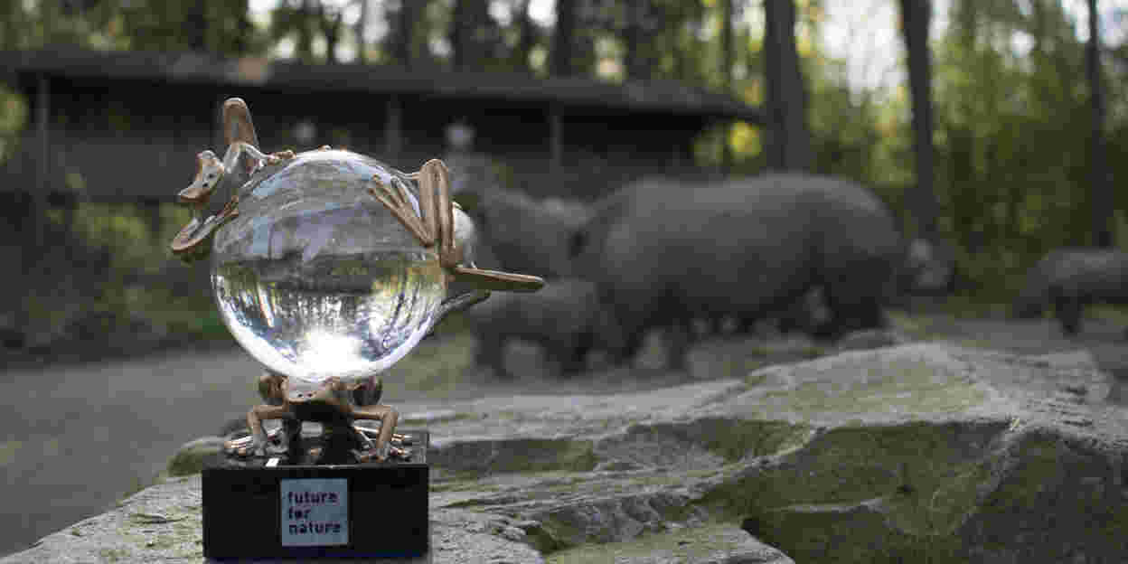 De Future For Nature Awards – reis mee door de wereld van natuurbescherming
