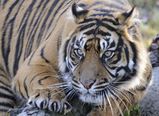 Activiteiten & evenementen