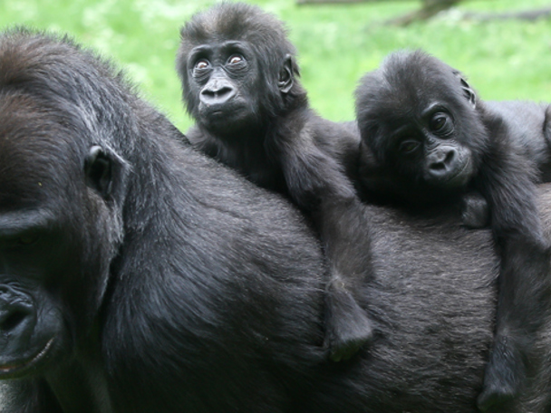 Nooit te oud om te leren
