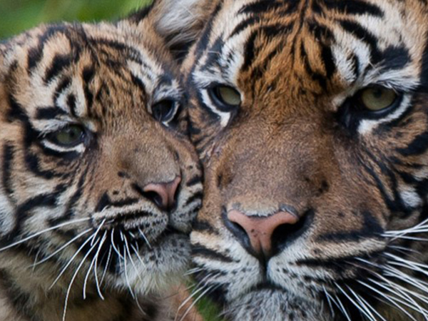 df372b93-0009-490d-8fc9-db1fcc0c6724