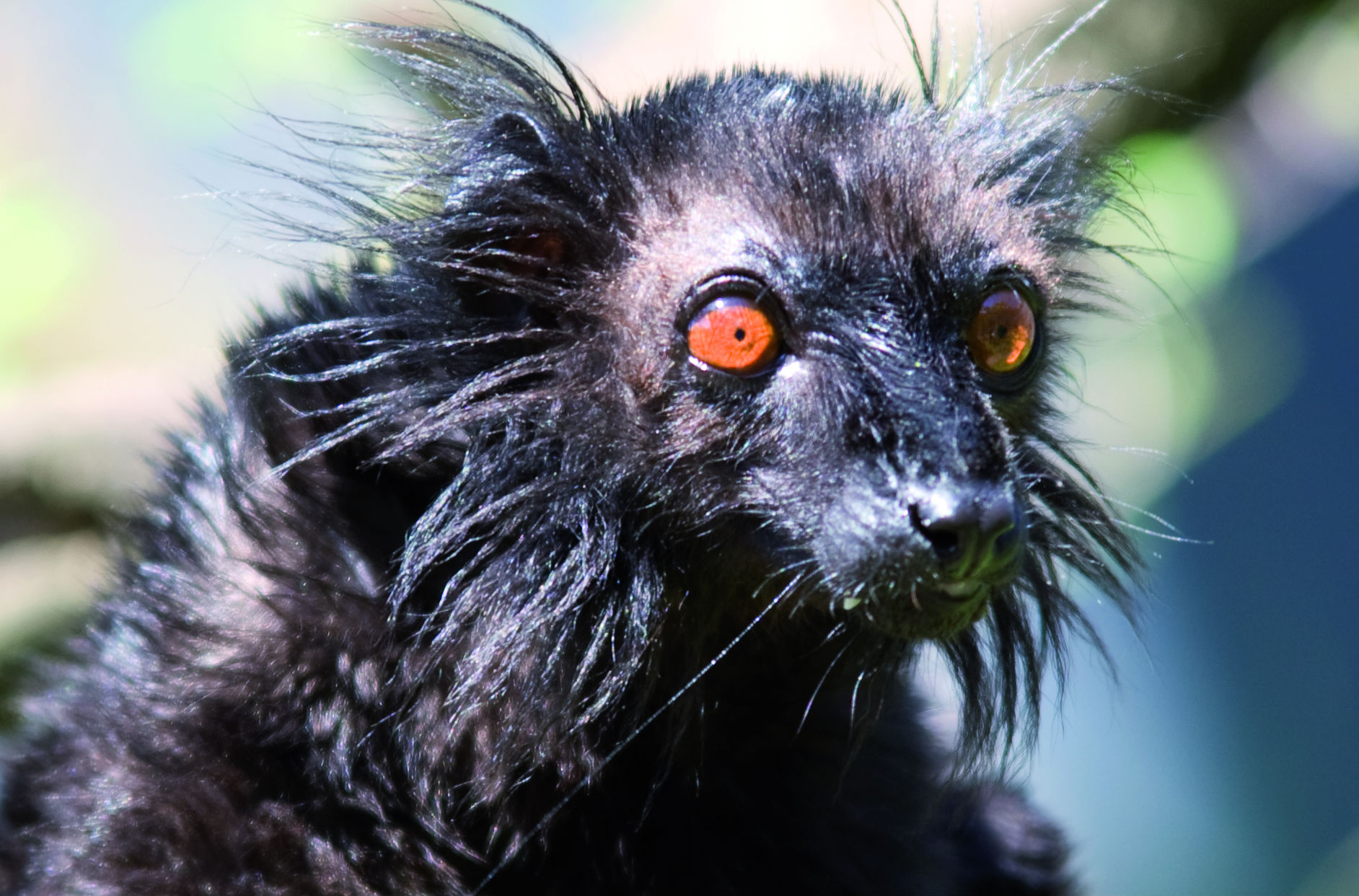 zw-maki-kop.jpg?mode=min&width=1248&height=624&rnd=132457920029000000