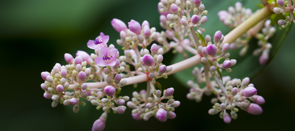 Ontdek de lokale natuur in de dierentuin
