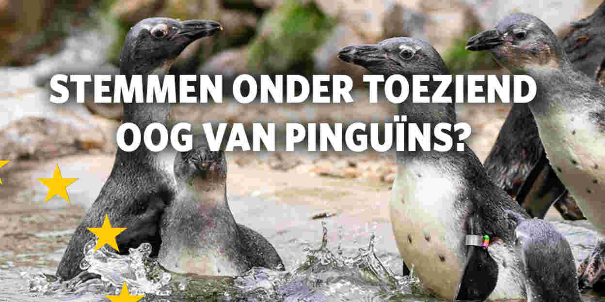 Burgers’ Zoo wordt een officiële stemlocatie! 