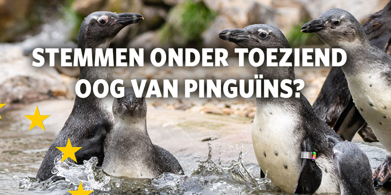 Burgers’ Zoo wordt een officiële stemlocatie! 
