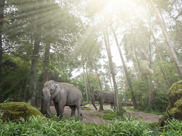 2998564e-6c80-46af-b19d-ced9cd60da96