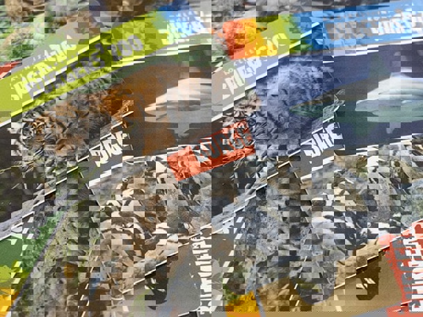 Abonnementen