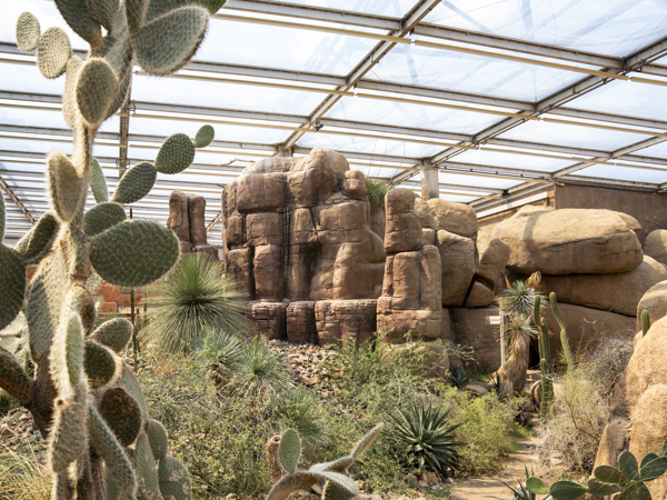 f69f64fd-4e44-4933-b5b8-88e9fc9440af