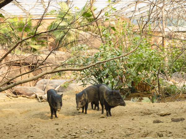 4392c605-1d20-414b-be1d-878a1760dbb1