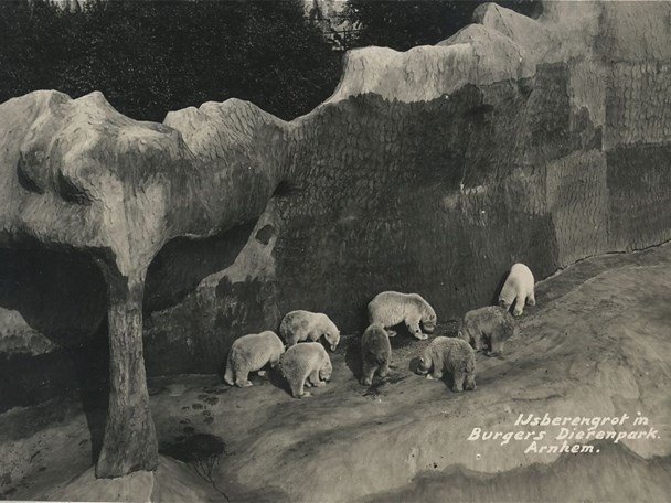 Natuurlijke habitats (1934)