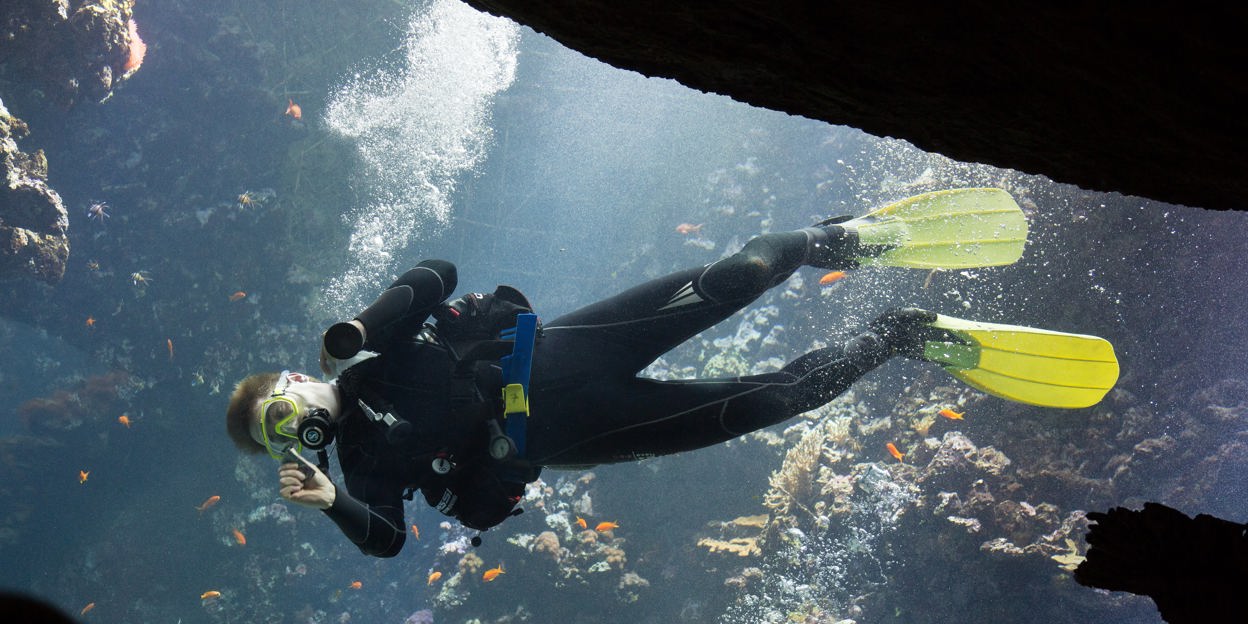 Glazenwasser: wie maakt de ruiten van de Ocean schoon?