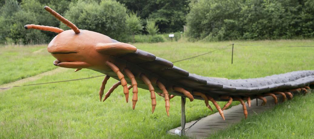 Big Insects