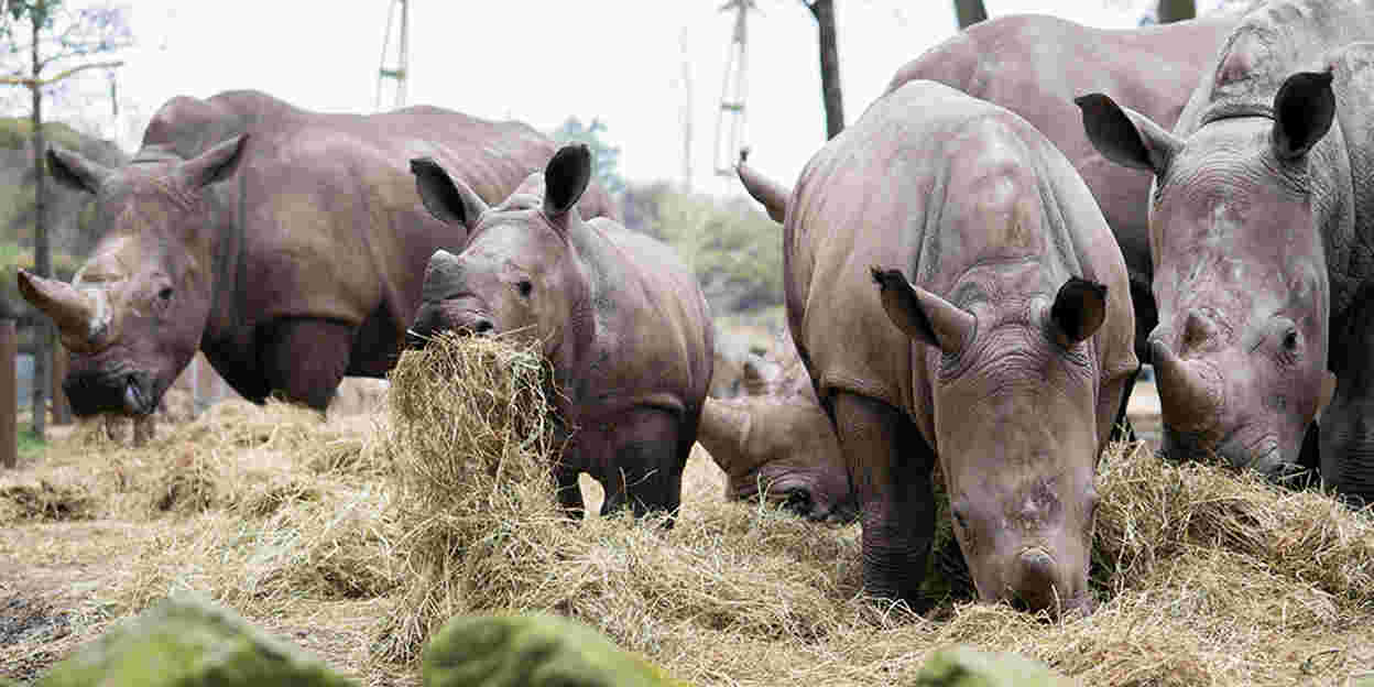 Burgers' Zoo verlengt de zomer 