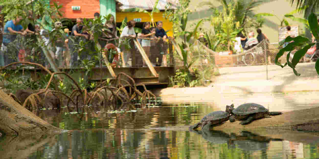 ‘Project Mangrove: Een stukje Belize in Arnhem’ vanaf aankomende donderdag een nieuwe docu reeks op SBS6