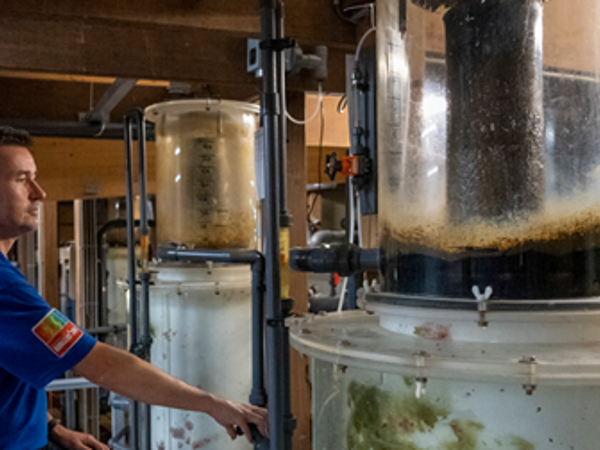 0a266c07-c3bf-44fe-bdd0-2fd0105a7f25