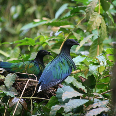 Bedreiging en bescherming