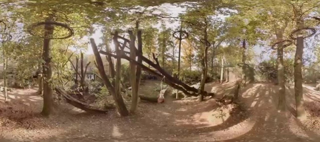 Ontdek Burgers' Zoo 