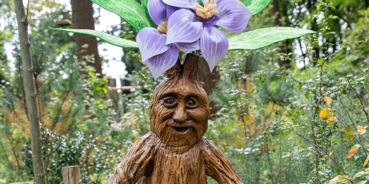 Mandragora