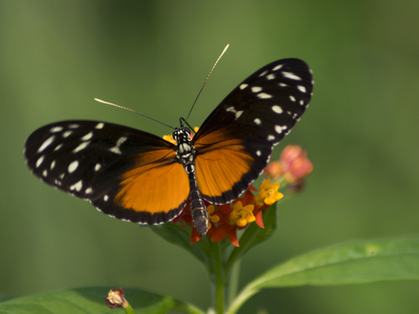 e10cba75-7f92-4bf4-a64f-52f8b0f34479