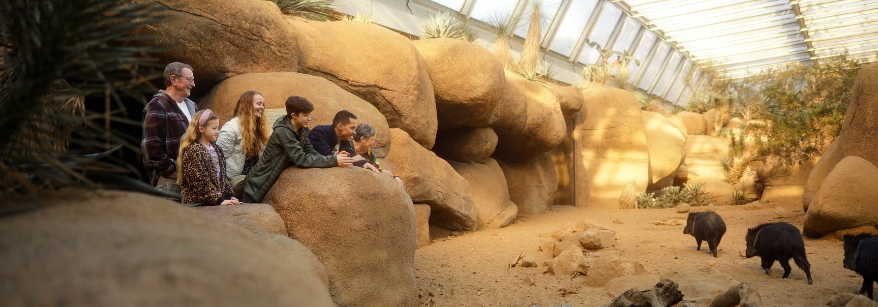Burgers' Zoo - Route & Openingstijden